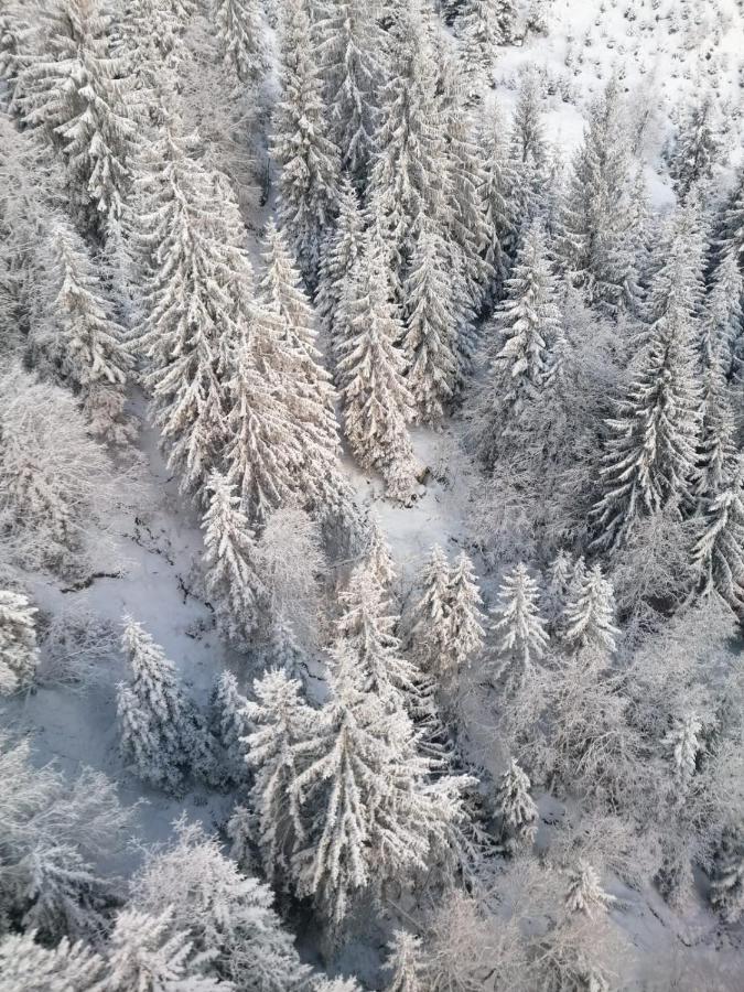 Montepart Zillertal Lejlighed Hainzenberg Eksteriør billede